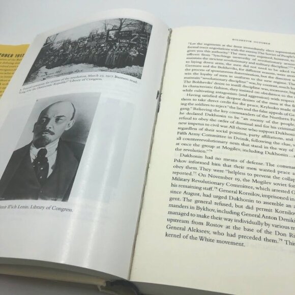 Russia in Flames Book War Revolution Civil War 1914 to 1921 Laura Engelstein - Picture 11 of 14